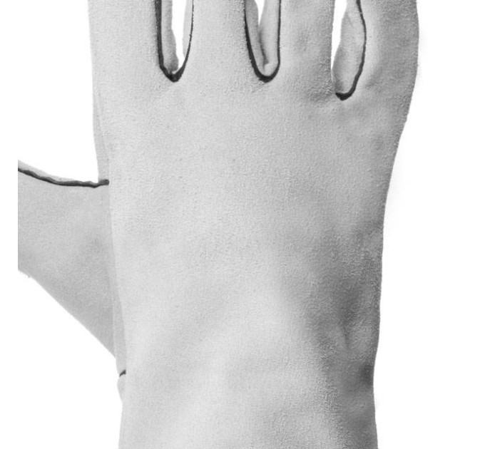 Перчатка замшева сіра (ящик 60 пар) INTERTOOL SP-0009W