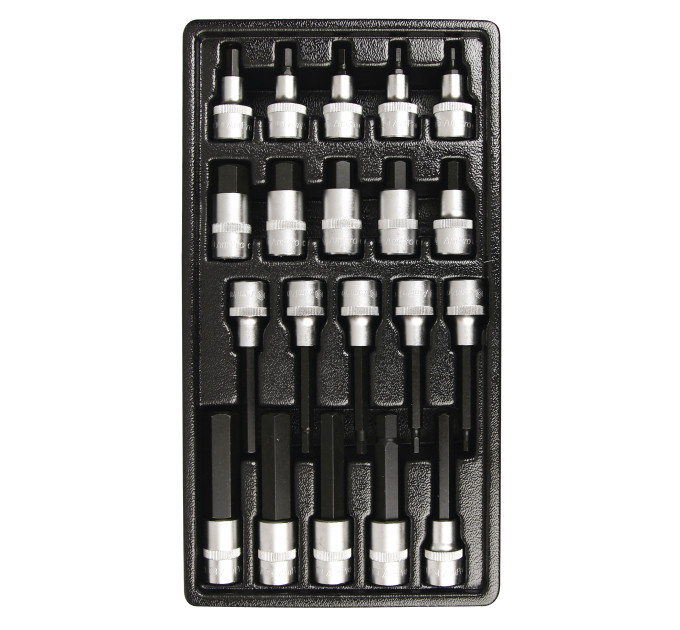 Набор головок 1/2" с шестигранниками в ложементе, 20 предметов. T33225